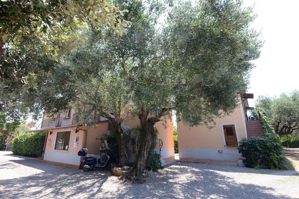 Residence Villa Andrea Marina di Camerota Exterior photo
